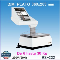BASCULA K-SCALE 12” 20 RL EPELSA